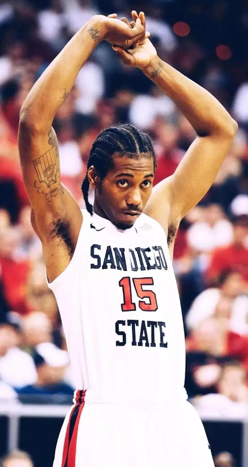 解说与执裁 解说与执裁