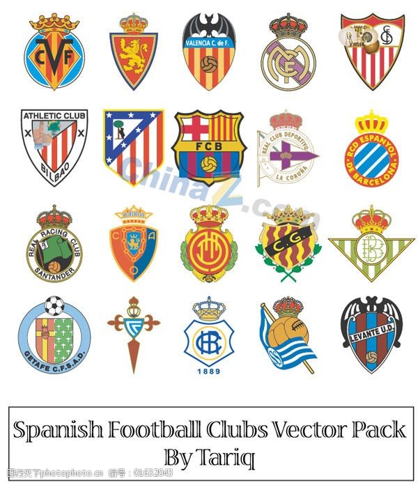 B的专业体 B的专业体